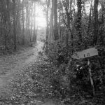 Photo Le sentier 18, Vendée, hiver 2010